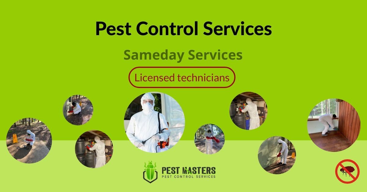 emergency pest control Adelaide