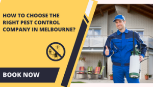 How to Choose the Right Pest Control Company in Melbourne