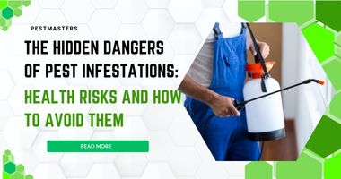 The Hidden Dangers of Pest Infestations: Health Risks and How to Avoid Them