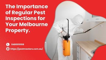 The Importance of Regular Pest Inspections for Your Melbourne Property