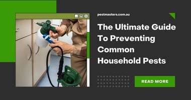 The Ultimate Guide to Preventing Common Household Pests